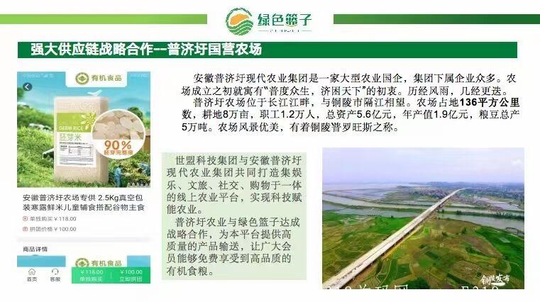 绿色篮子，目前拼团界里最稳定的，当天收益当天提，大大降低了投资风险