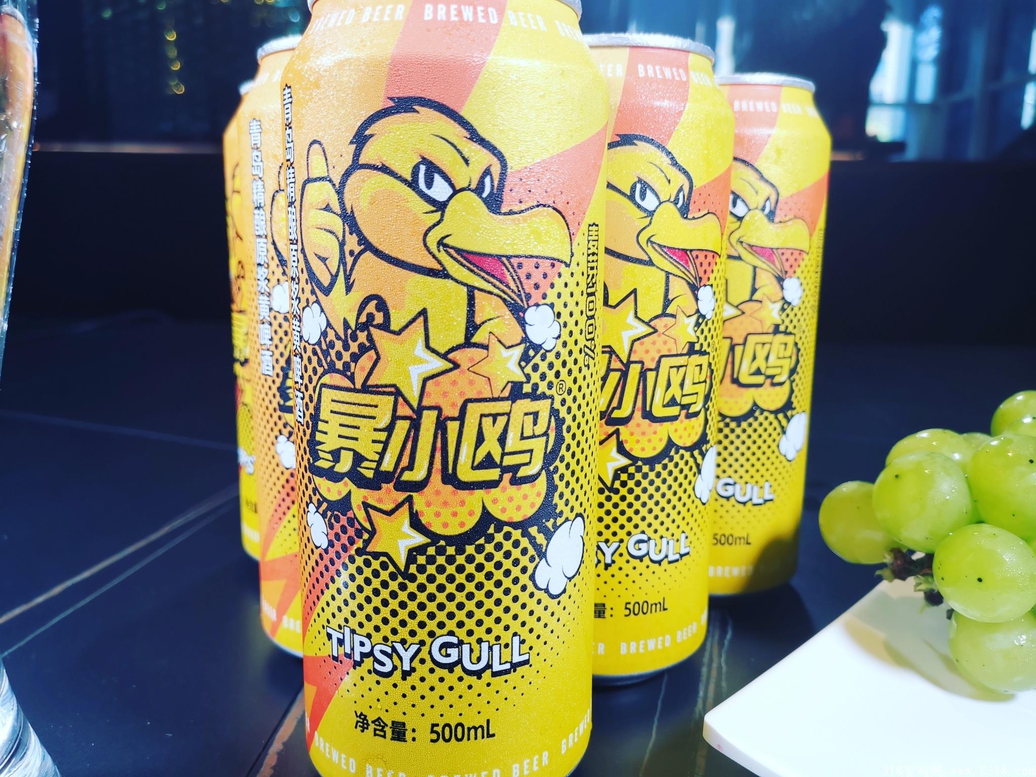 暴小鸥精酿啤酒，15～20号开启内测，欢迎全国团队长对接！