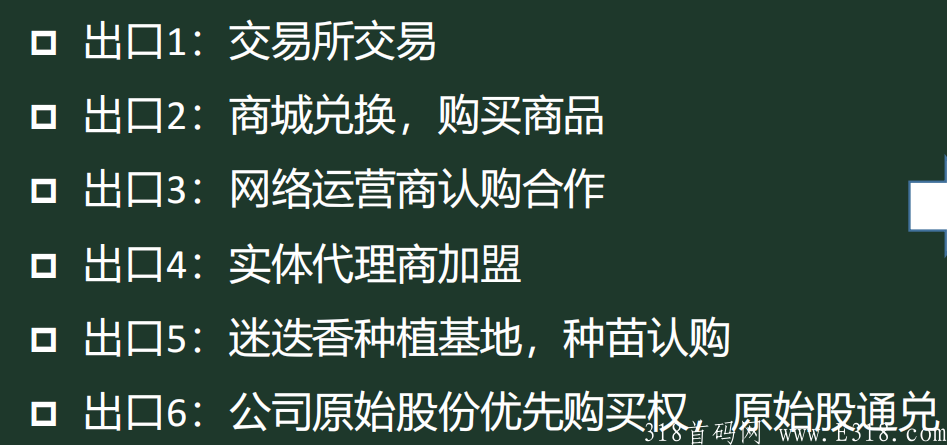 实体落地项目团队长对接！（机会难得）