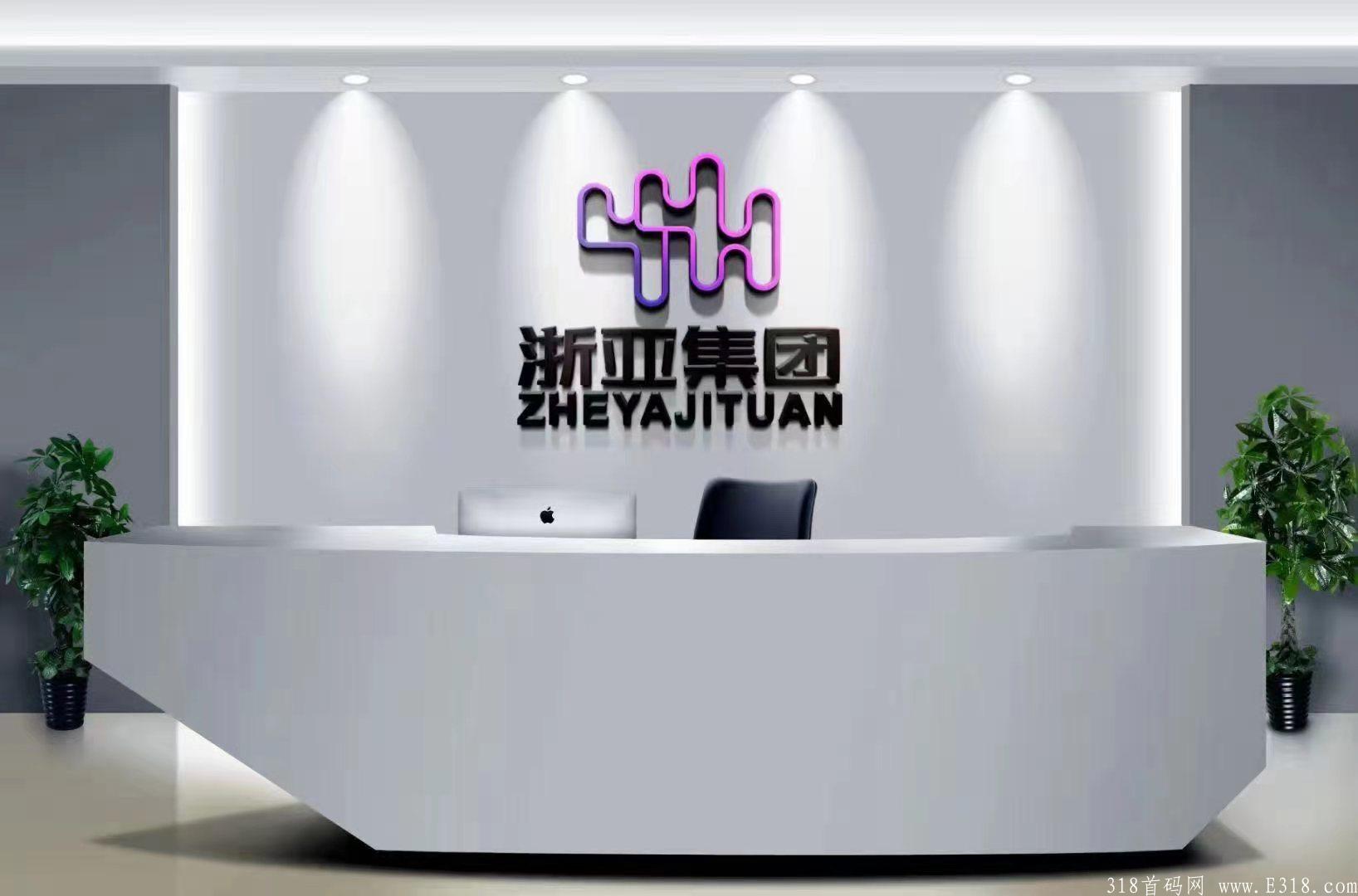 YYH浙亚集团对接团队长