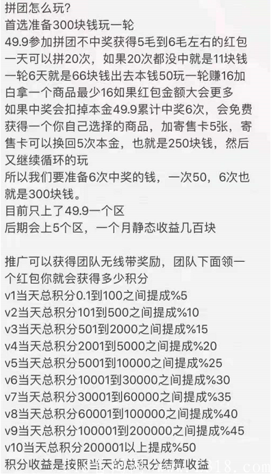 一起来养猪》新出拼团板块首码，半自动合成，玩法多收入更高！带你一起养猪致富！