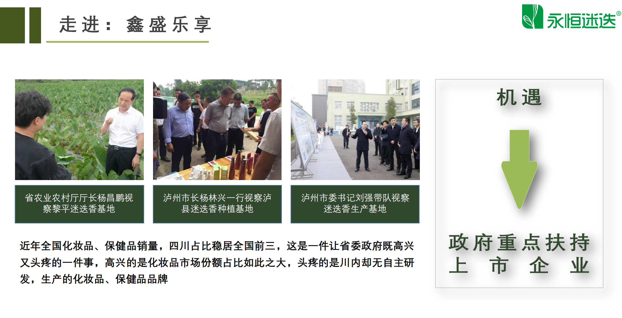 迷迭庄园项目正式启航！第一批吃肉欢迎对接