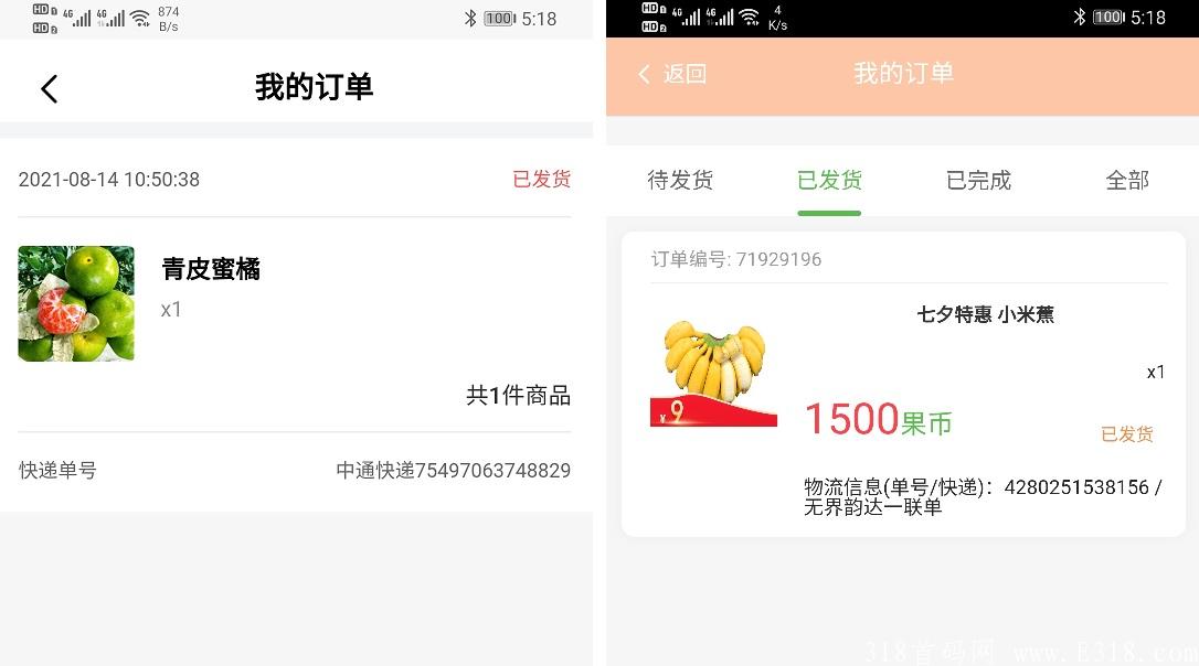水果.jpg
