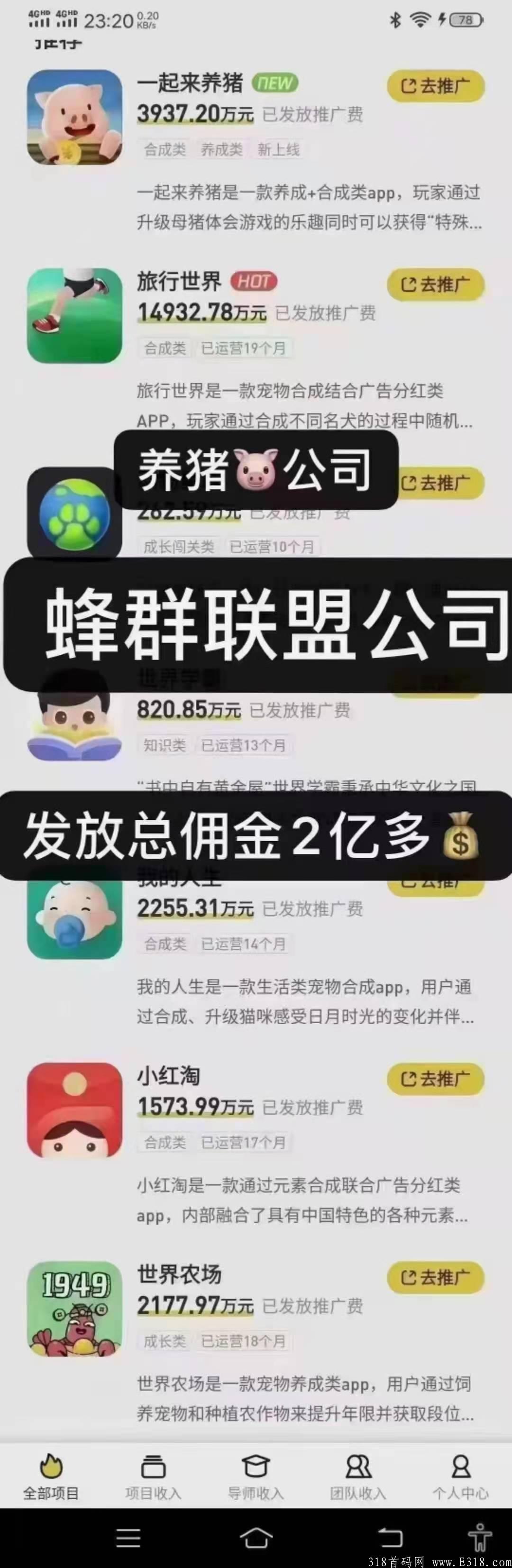 一起来养猪拼团，蜂群联盟公司正波比，无限代扶持20