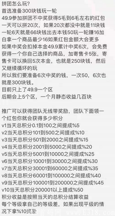 一起来养猪拼团，蜂群联盟公司正波比，无限代扶持20