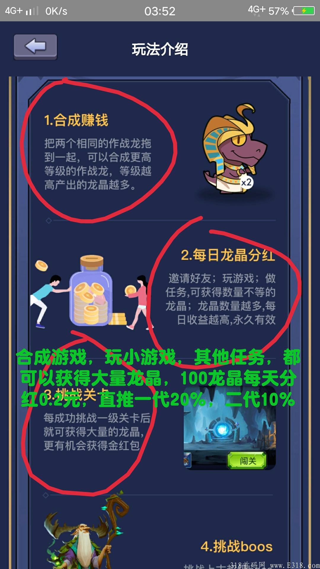 神龙传说，暴力分红项目