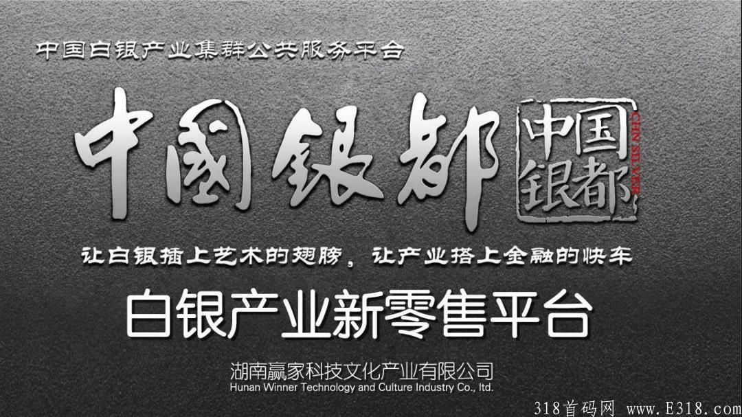 最新拼团项目—中国银都