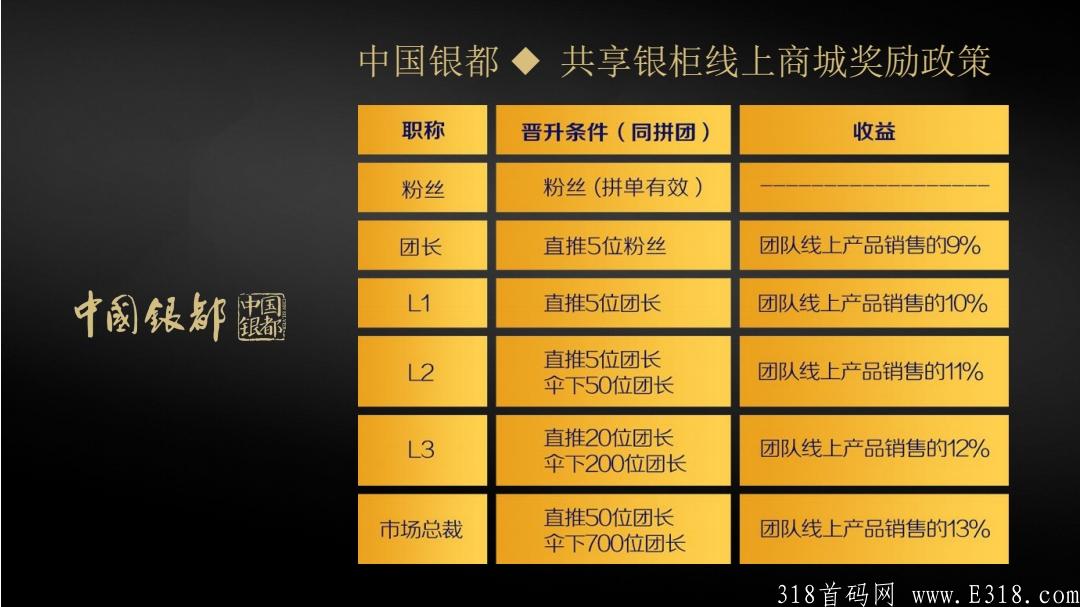 最新拼团项目—中国银都