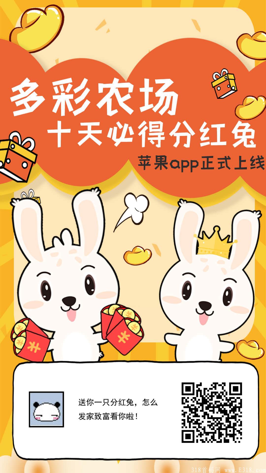 多彩农场:日赚10+，最快一天得永久**兔