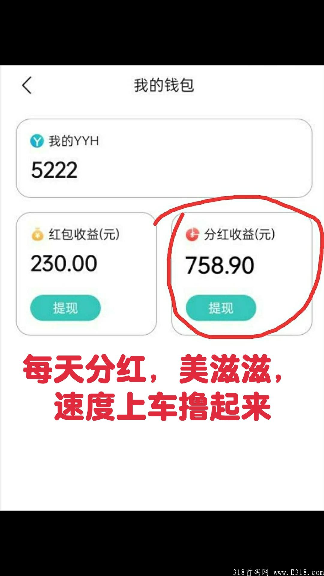 YYH趣生活，静态一天30元，暴力分红模式