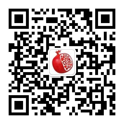 石榴铺拼团 拼团中唯一一家挂牌港交所的平台
