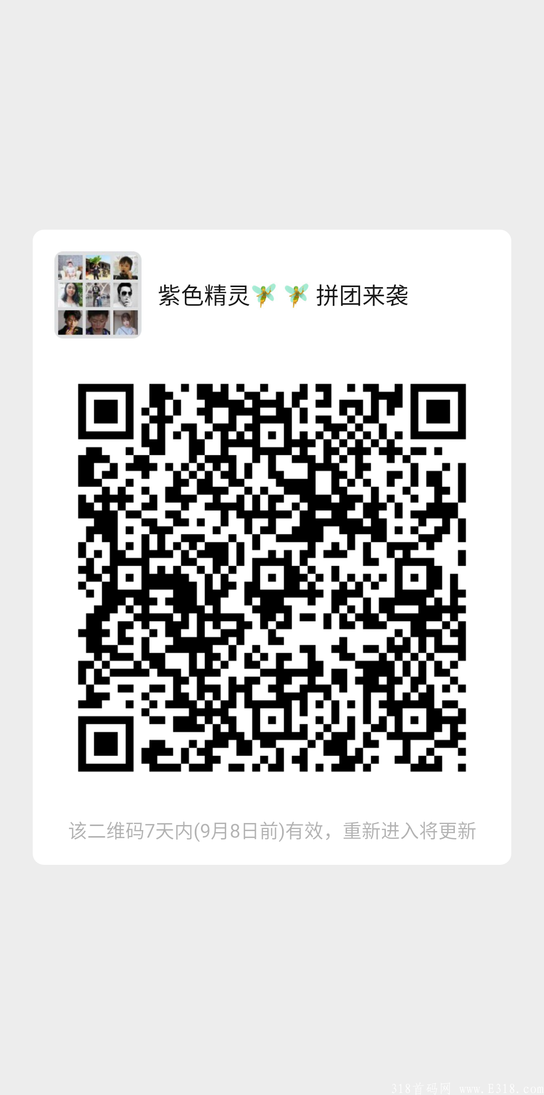 紫色精灵稳定半个月继续招募团队长