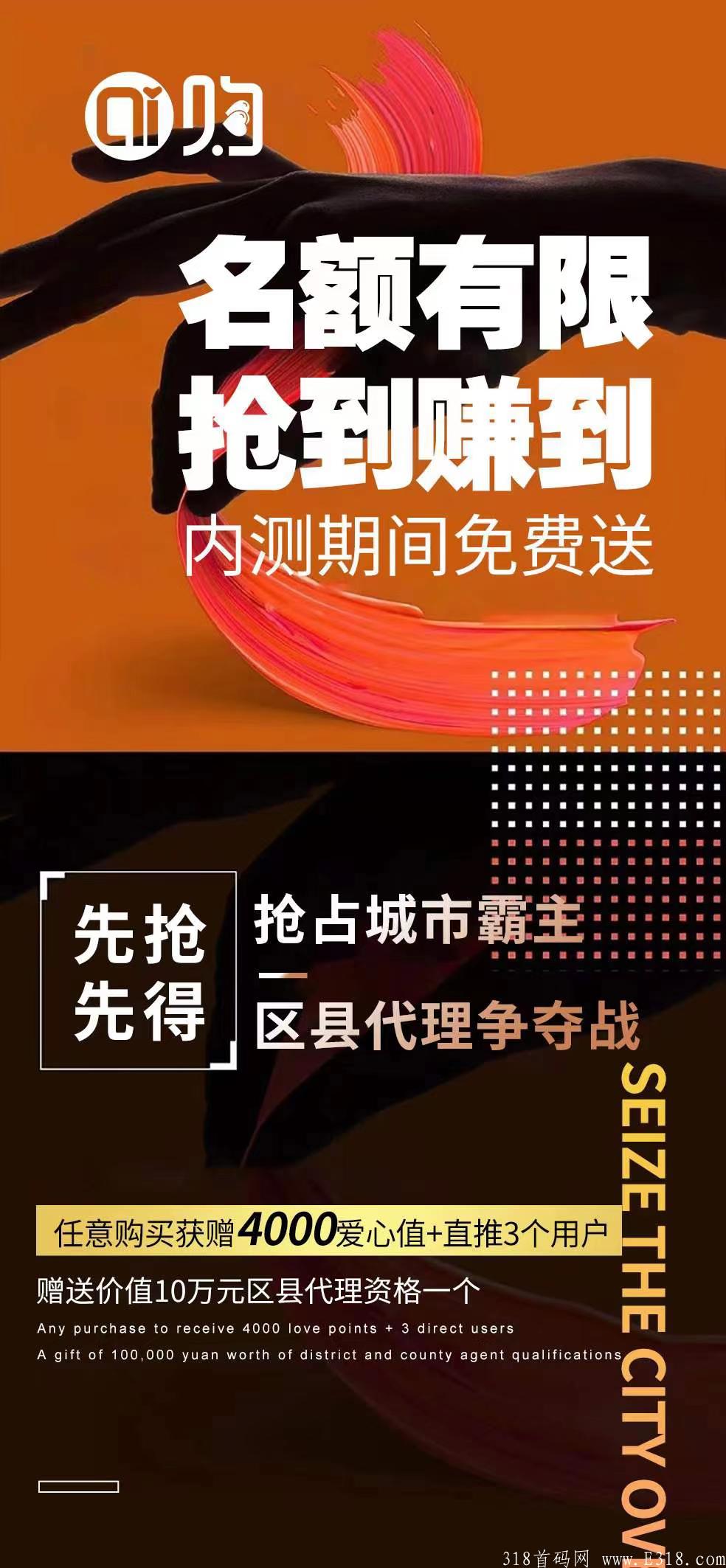 爱购生活，下周上线，最高等级对接团队长