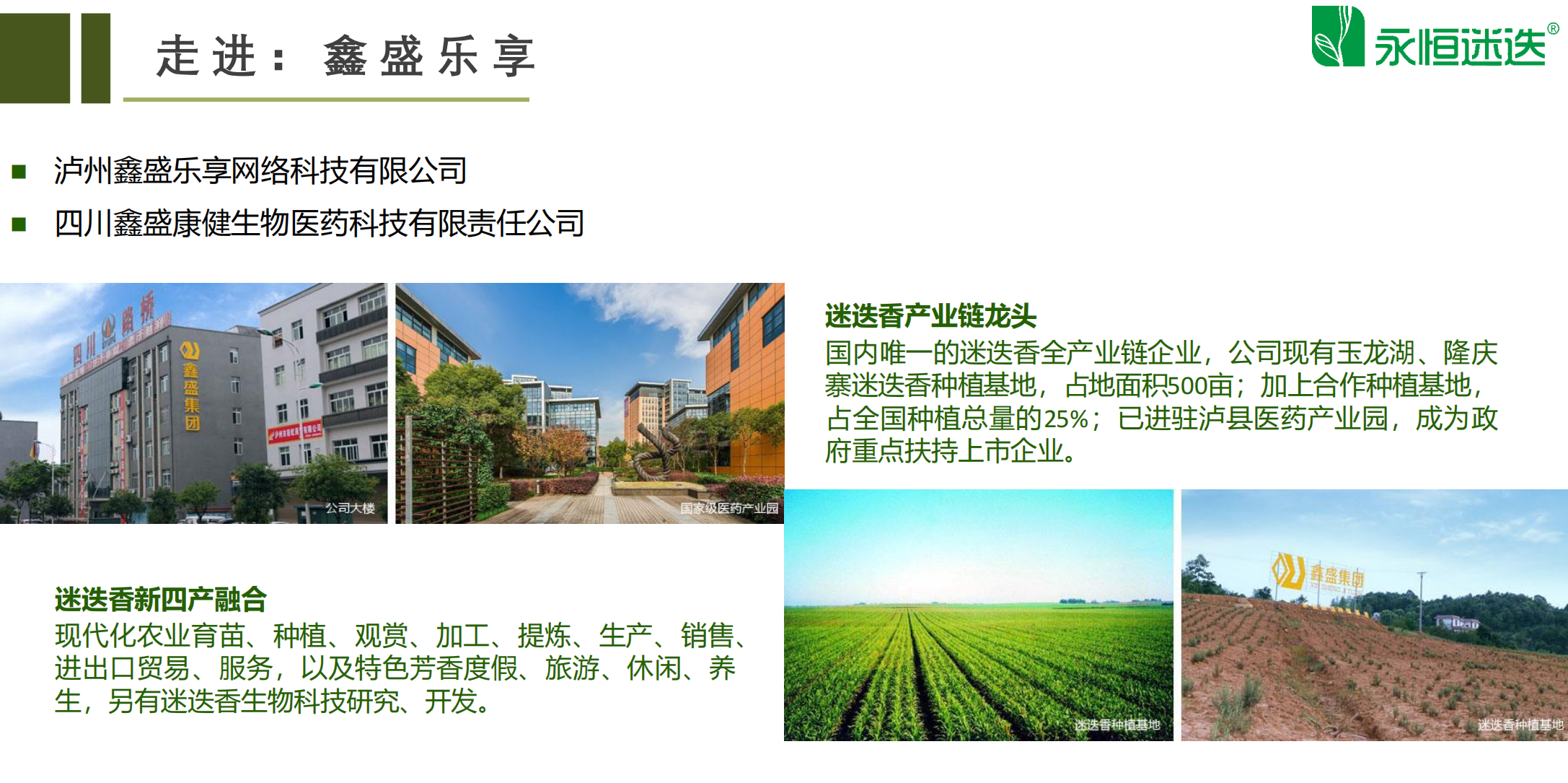 永恒迷迭又发放开抽奖了，实体卷轴黑马项目