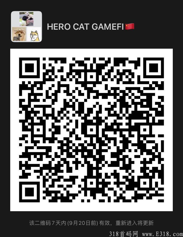 hero cat即将上线，dcat新老玩家欢迎入驻