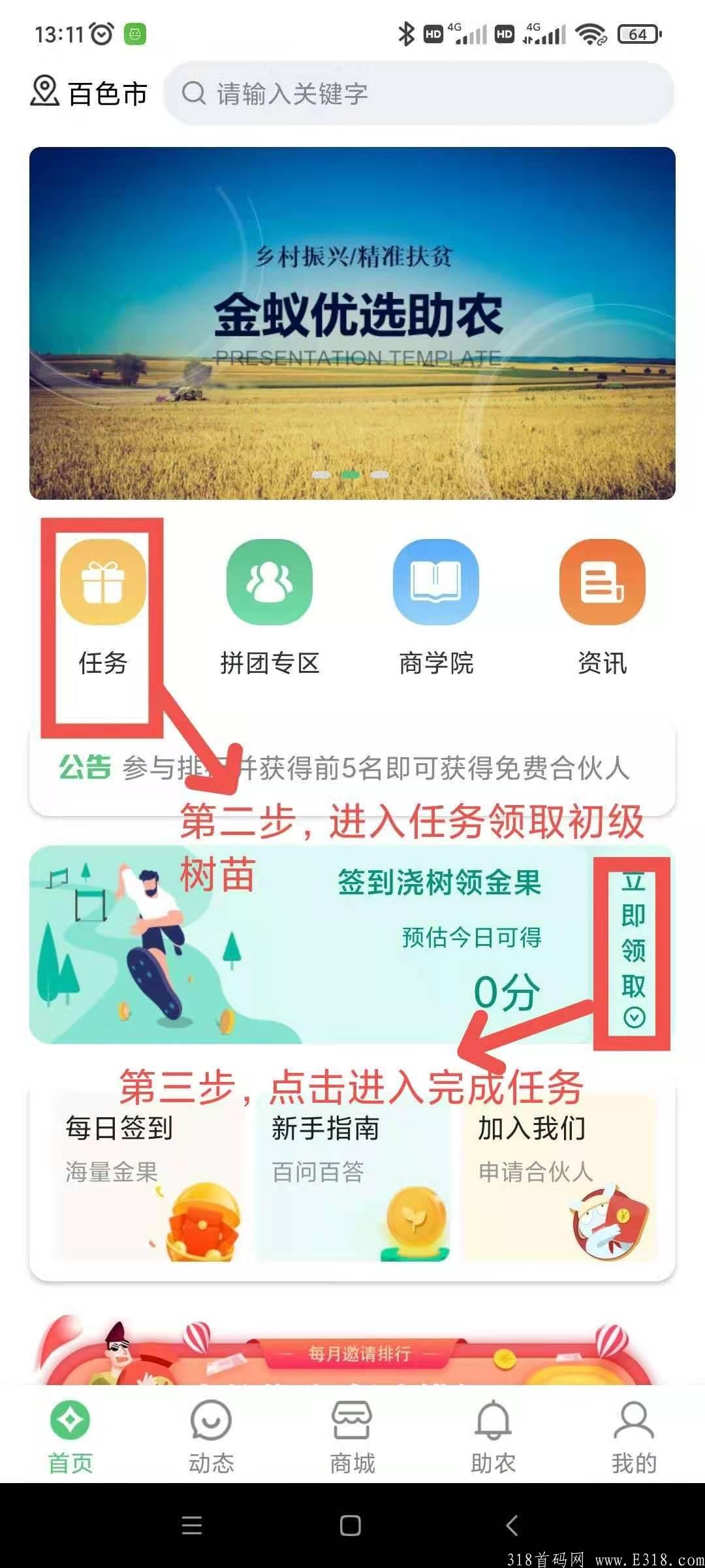 金蚁优选