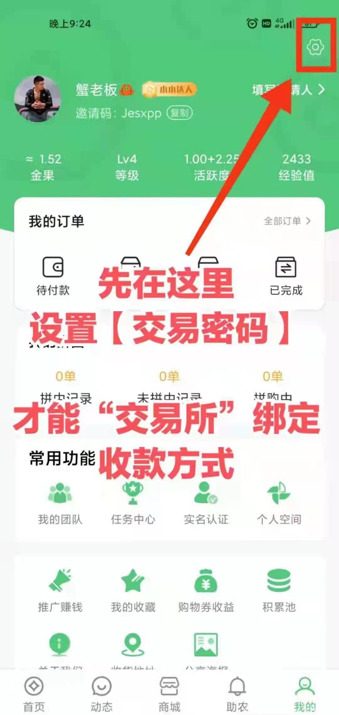 金蚁优选