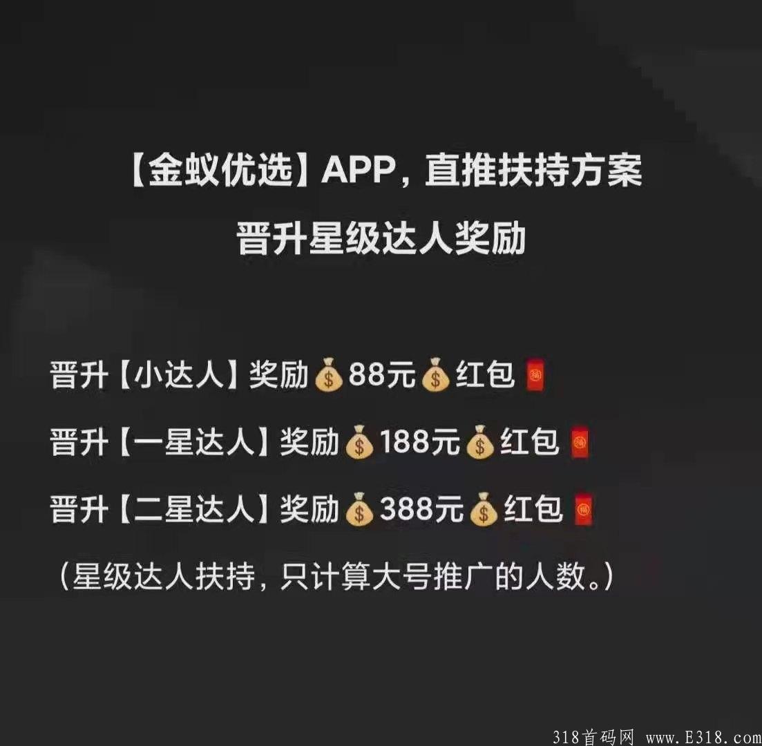 金蚁优选
