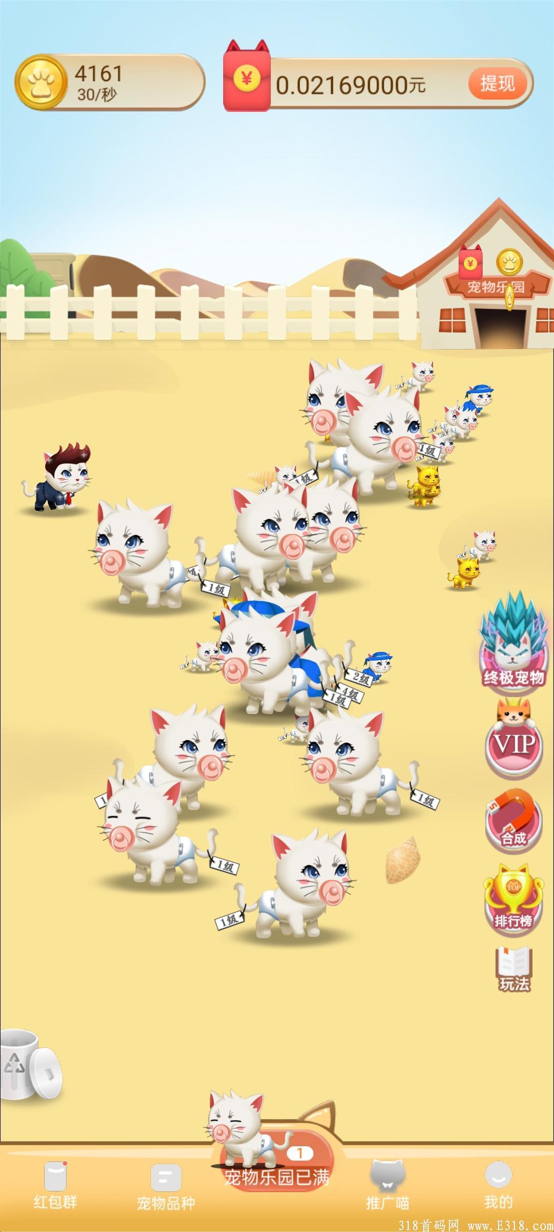 首码刚出，去年错过养猪的，今年别再错过养猫了！！