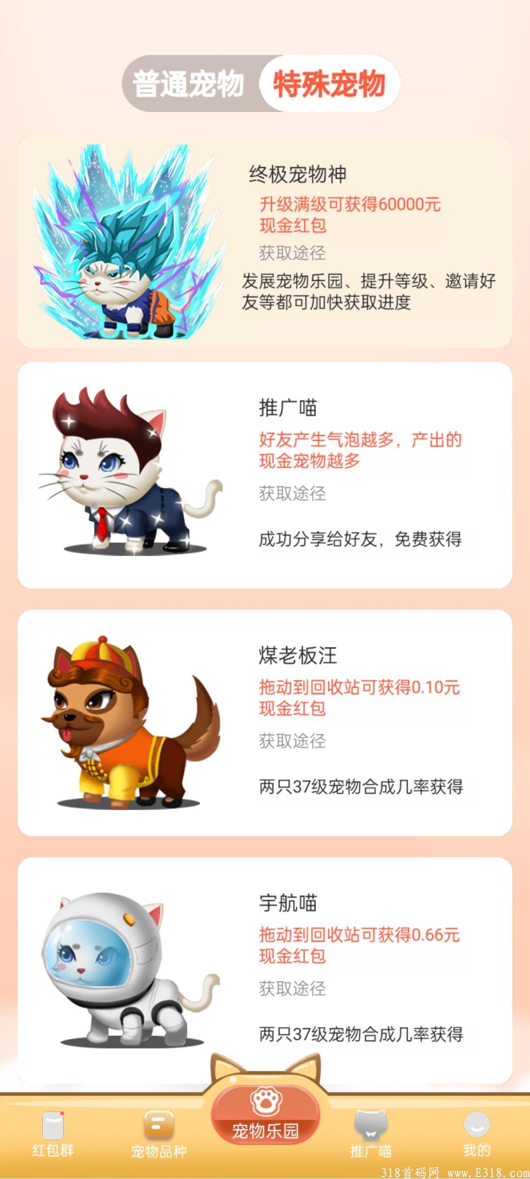 首码刚出，去年错过养猪的，今年别再错过养猫了！！