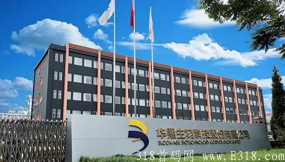 熙选商城  熙选首码  全网对接团队长