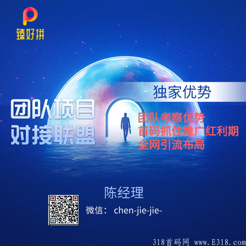 臻好拼商场318首码对接团队，全网扶持