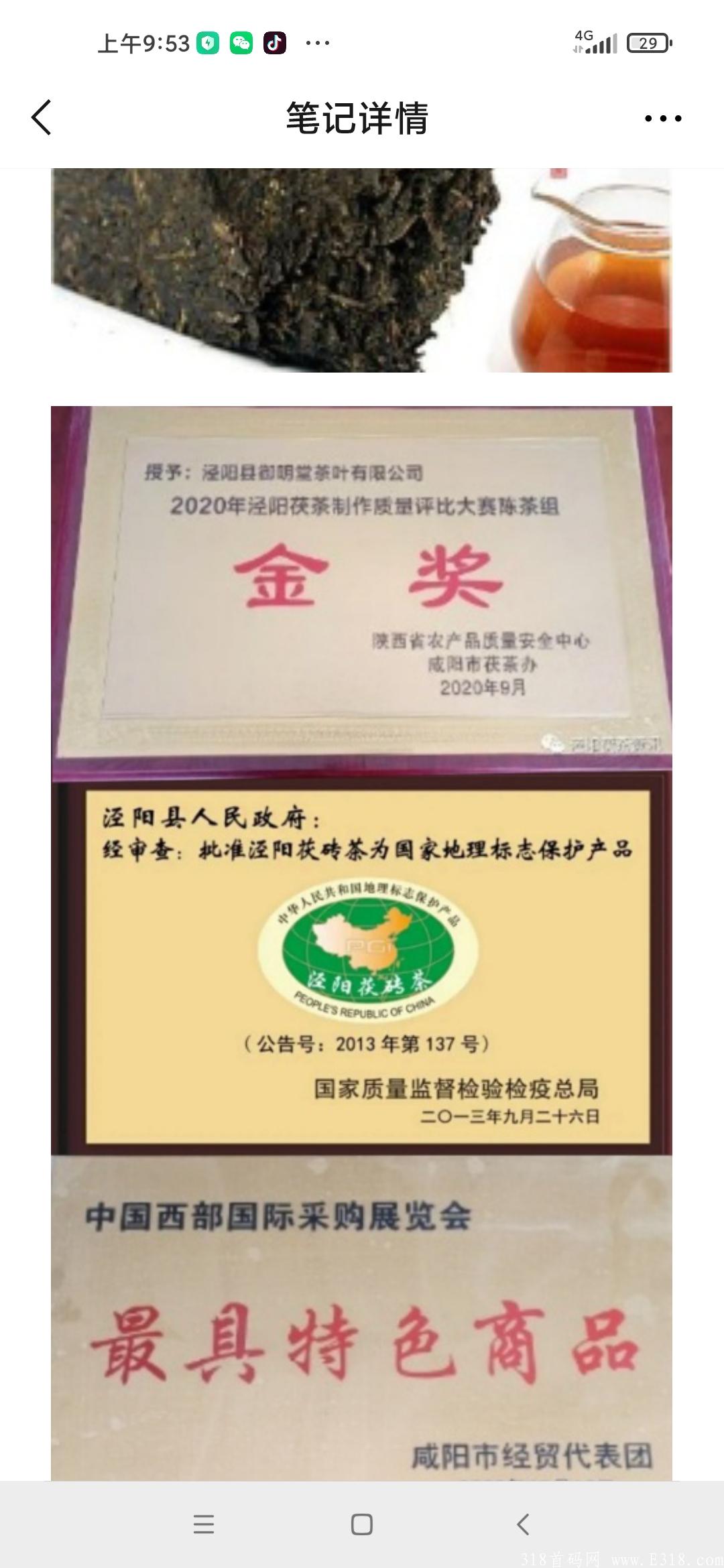 沙棘茯茶项目，首码即将发布