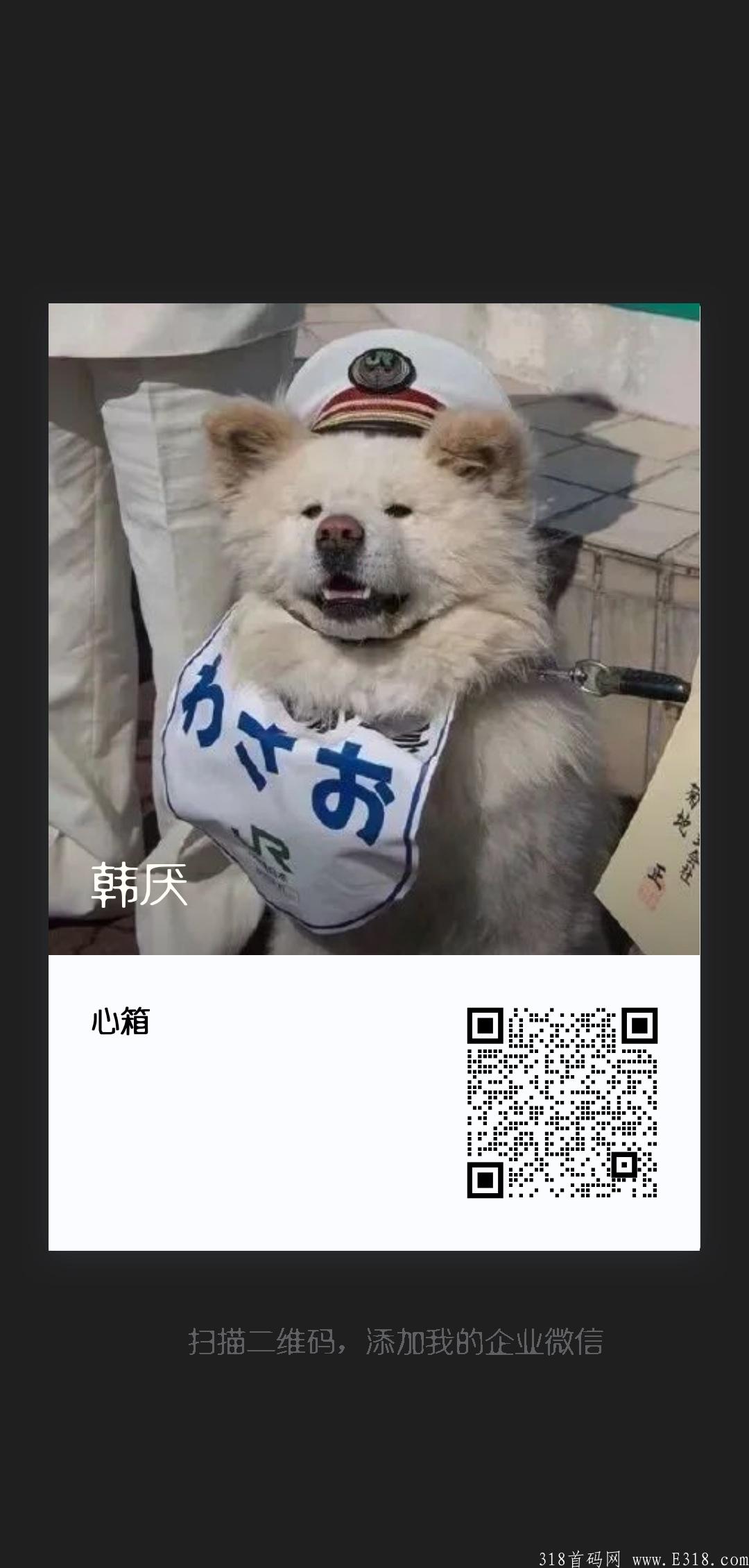 蜜蜂打卡