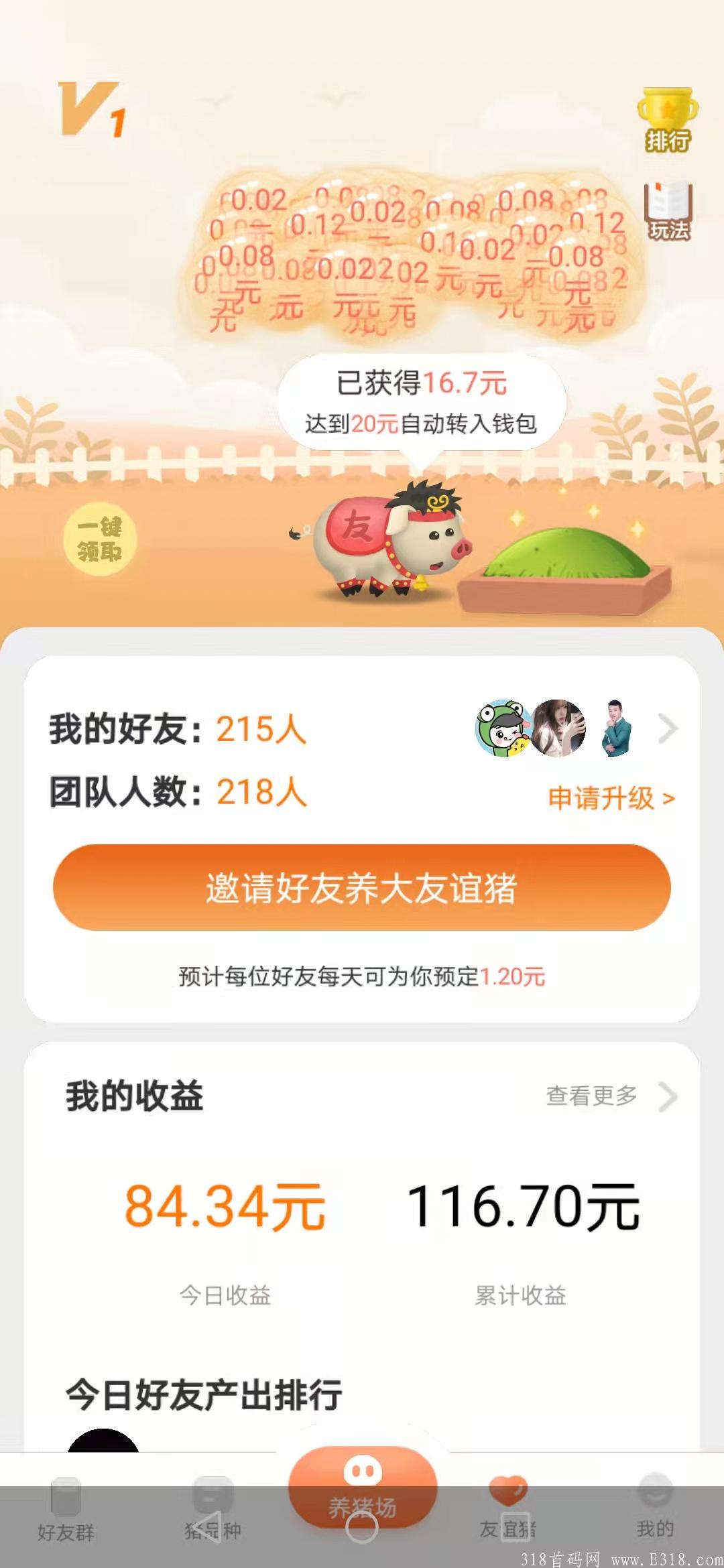 开心碰碰猪