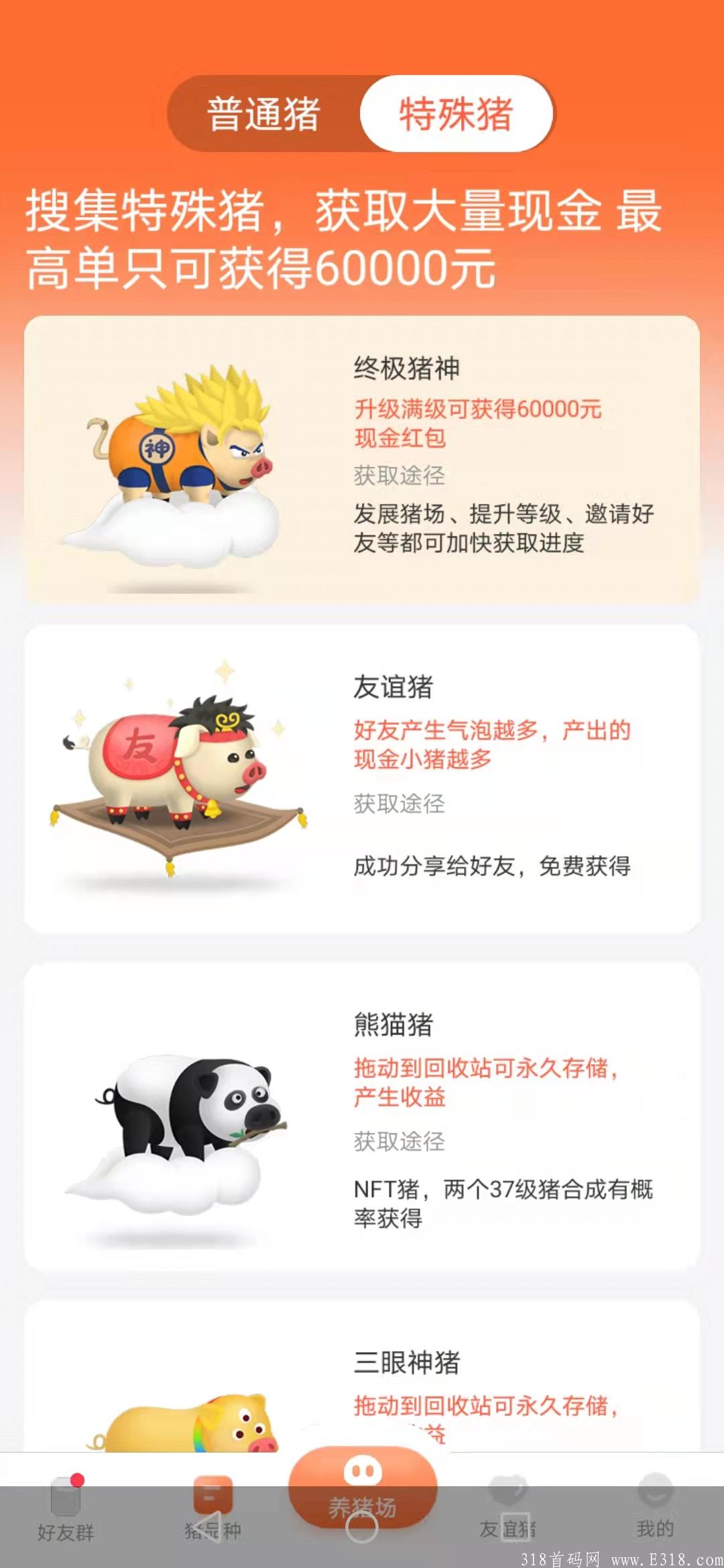 开心碰碰猪