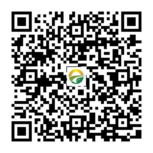 【村网通】让农村链接世界！实力团队长欢迎来撩！