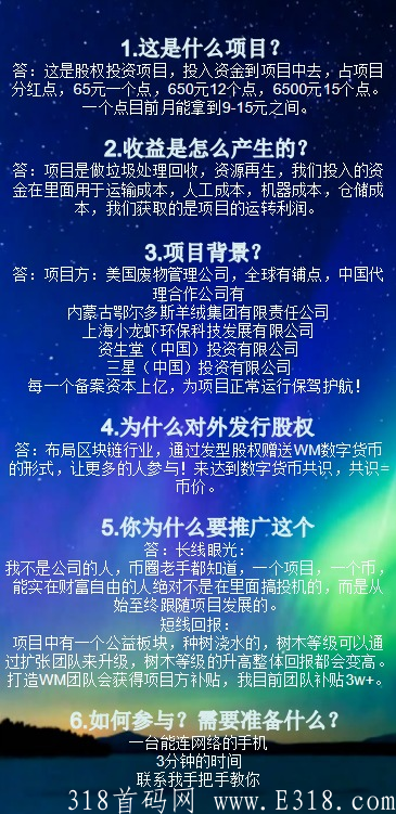 WM每月分红收益