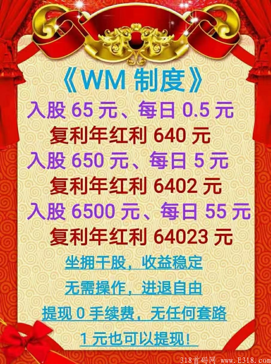 WM每月分红收益