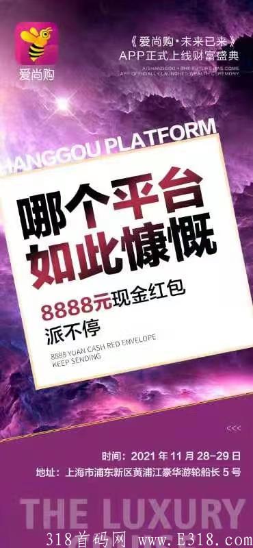 爱尚购拼购商城~首码~对接团队~扶持政策~可实地考察~