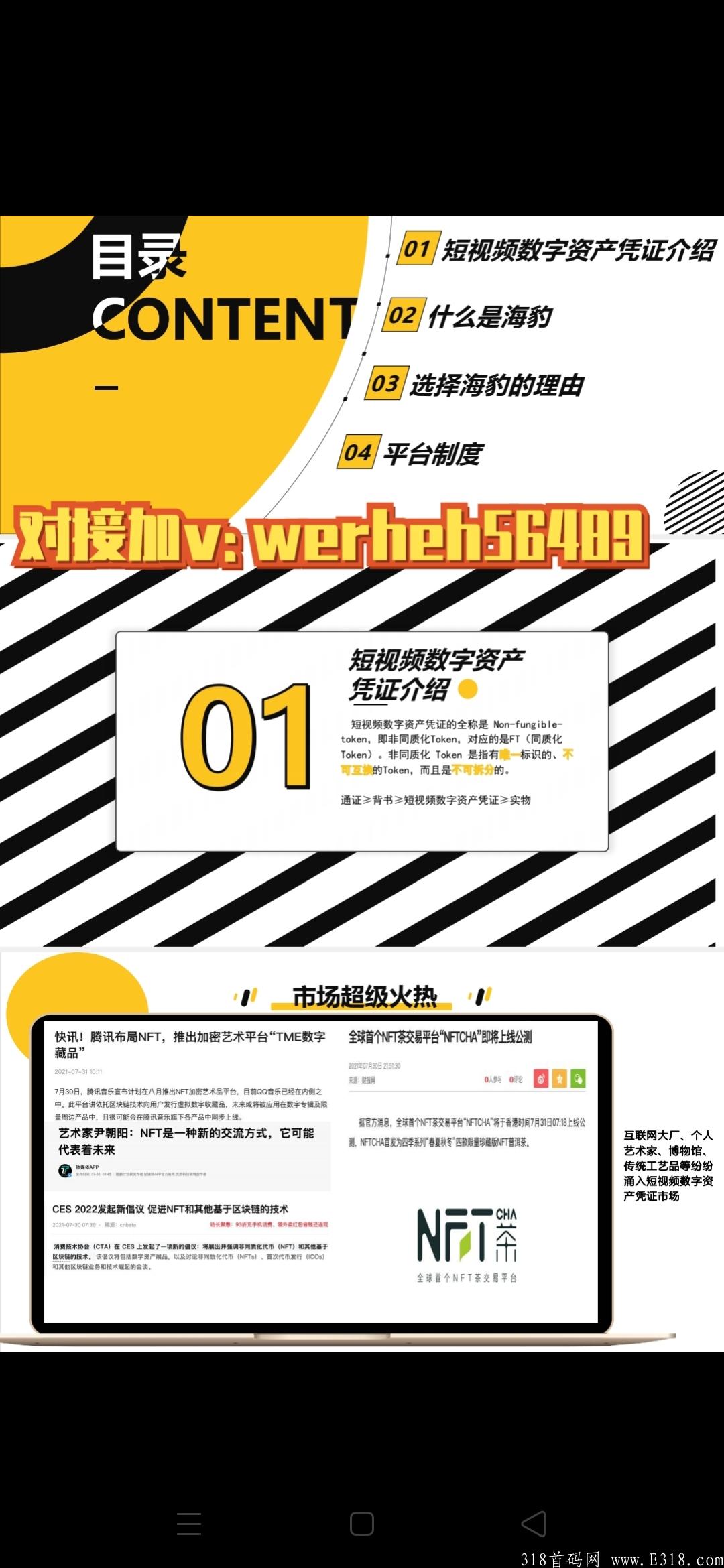 首码:海豹短视频,市场部直招,**扶持对接实力团队。 首码:海豹短视频,市场部直招,**扶持对接实力团队。