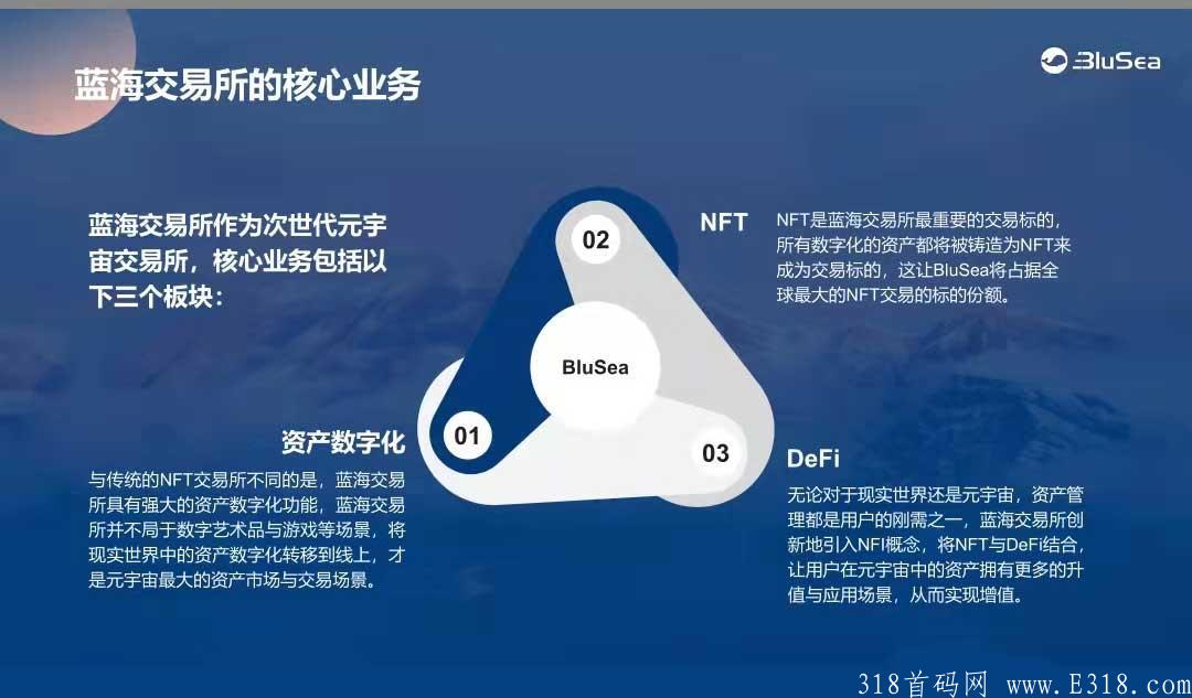 国际品牌交易所蓝海新项目