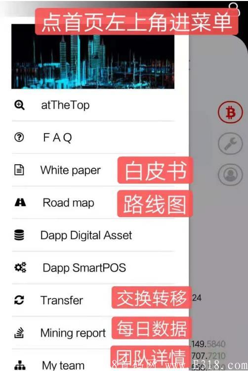 Digital Asset Coin(数字资产币)