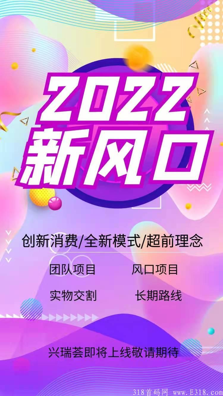 兴瑞荟批发电商 首码对接团队长，散户，吃肉项目年底收官之战