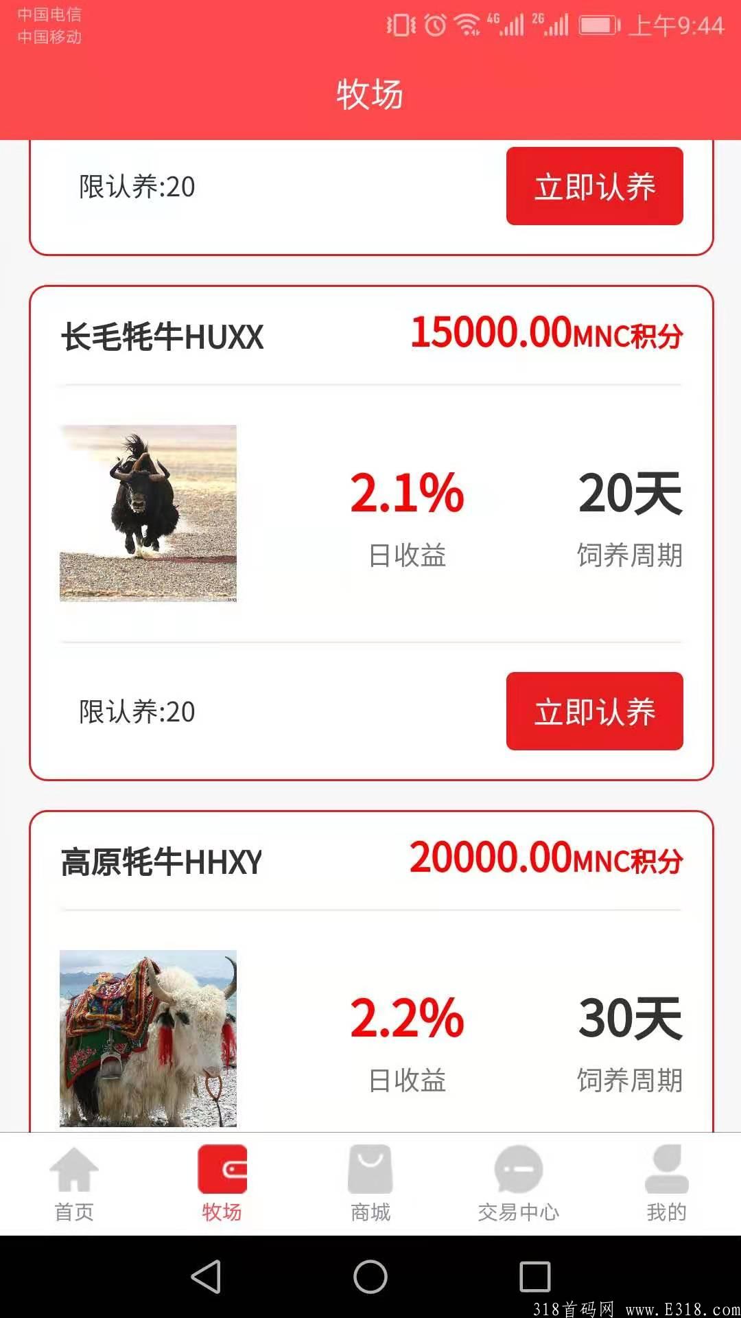 实体牧场牦牛养殖，注册送头牦牛，高散 团长来对接