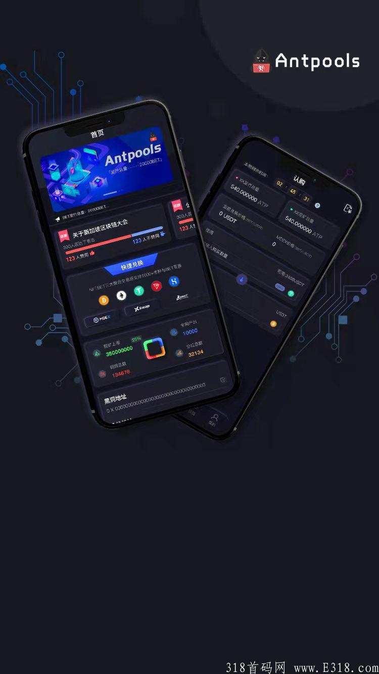 Antpools：最新国际预热项目  全球创新，独一无二  暗池，链暗，池链