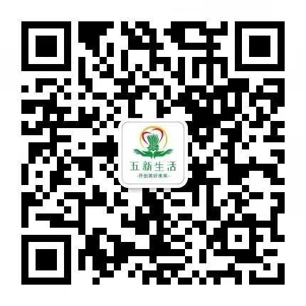 【五新生活】 真正实体产业链 12月正式上线  全网对接  跨年项目