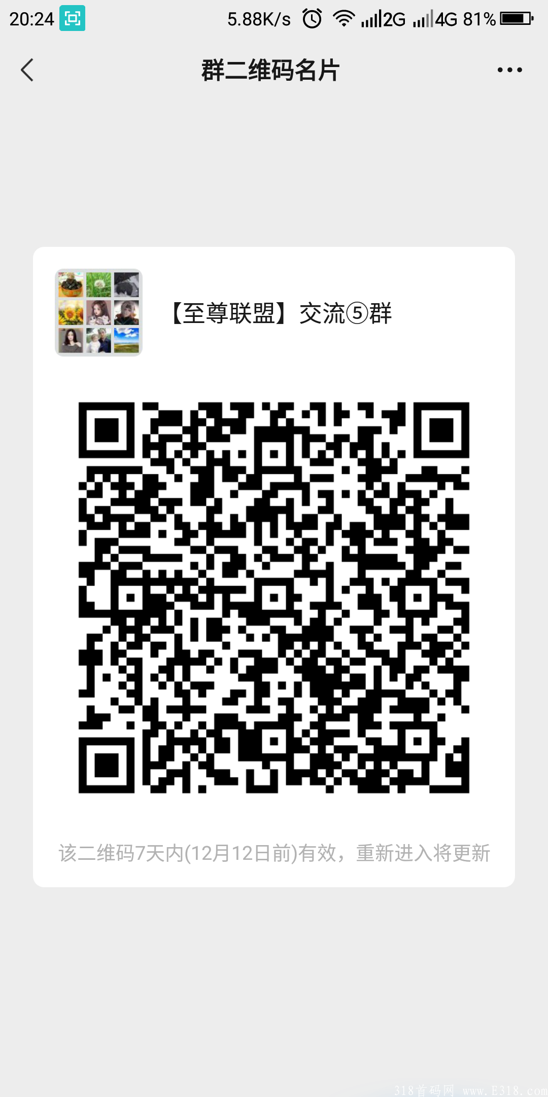 去拍吧,排线兜底招募团队长