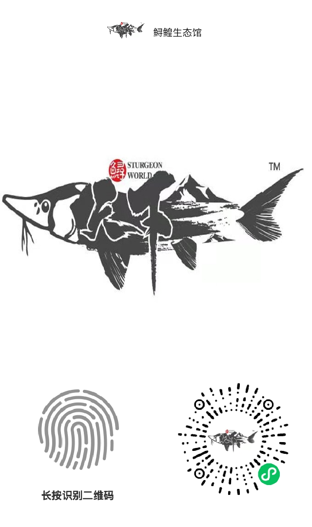 鲟鳇生态馆，微信小程序，每天签到领爱心值，相当于原始股每天**。