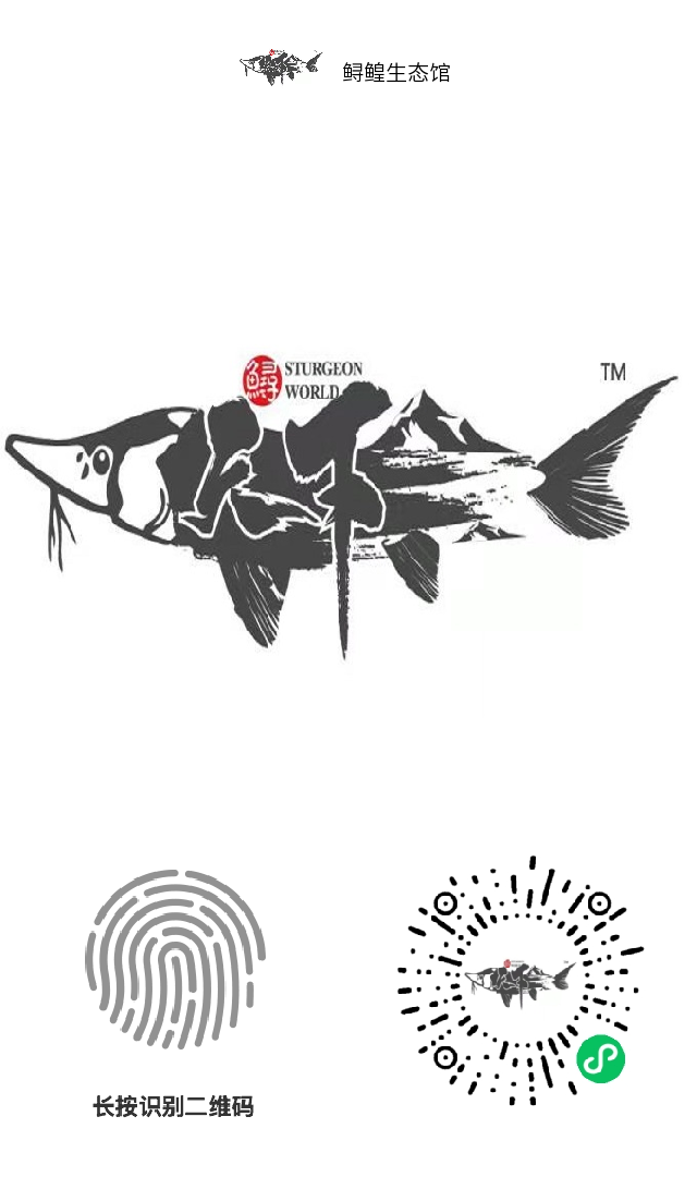 鲟鳇生态馆，微信小程序每天签到得爱心值相当于原始股每天分红