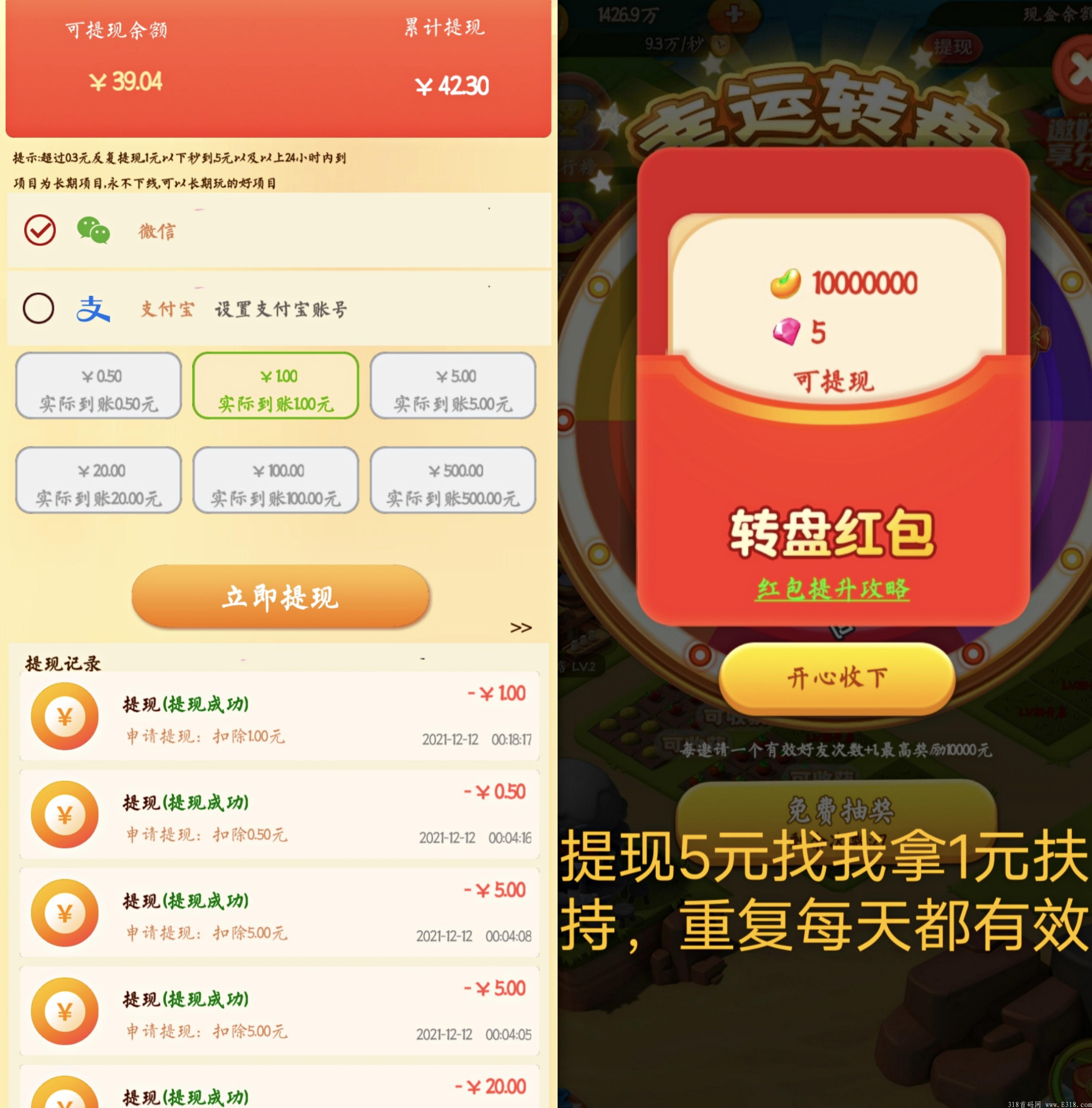 爆金庄园