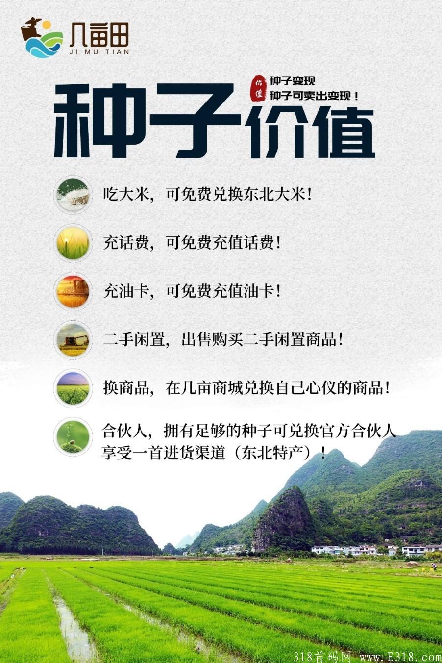 几亩田最火零撸蚁丛模式