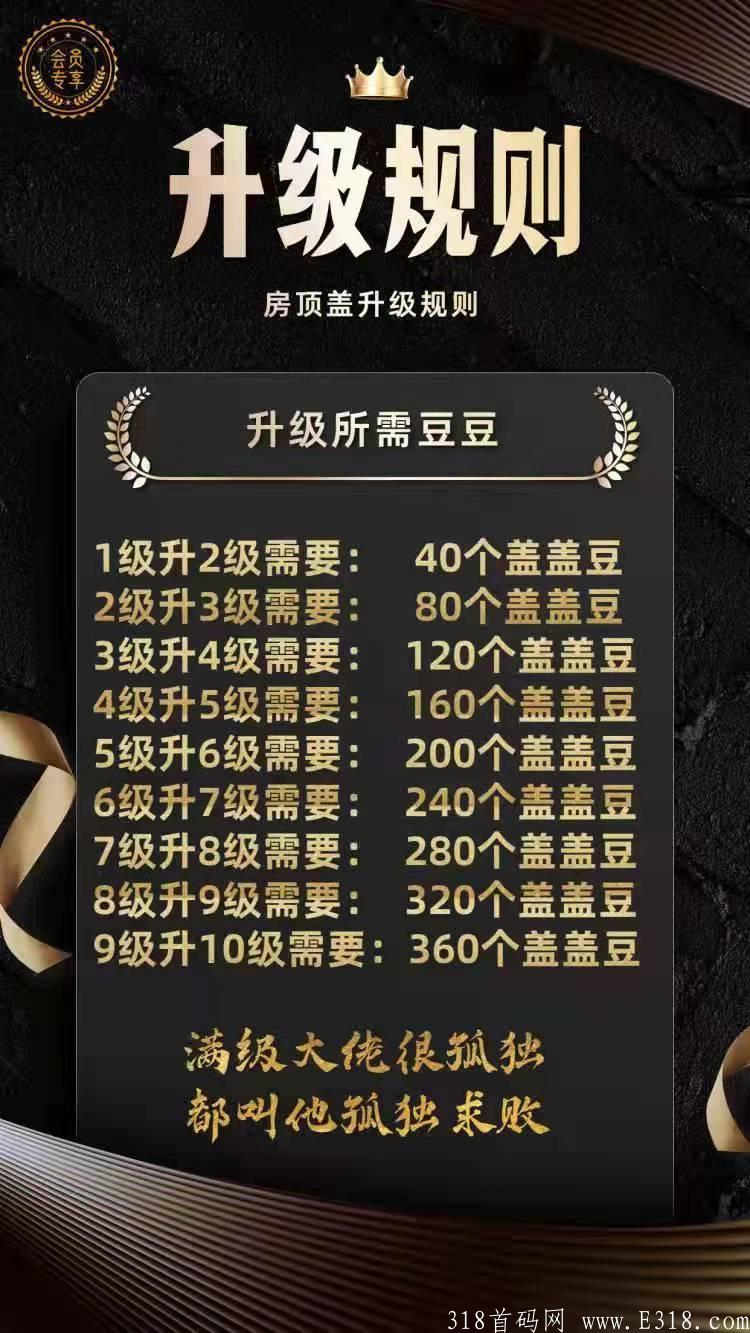 新项目房顶盖 新项目房顶盖