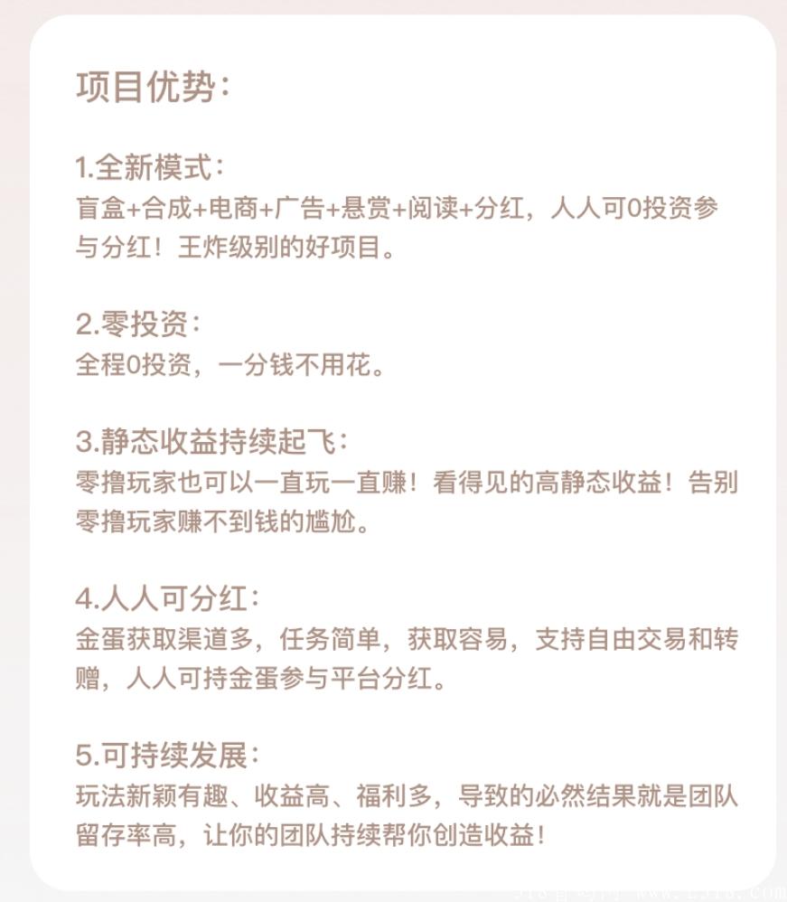 小鸡盲盒,王炸项目 小鸡盲盒,王炸项目