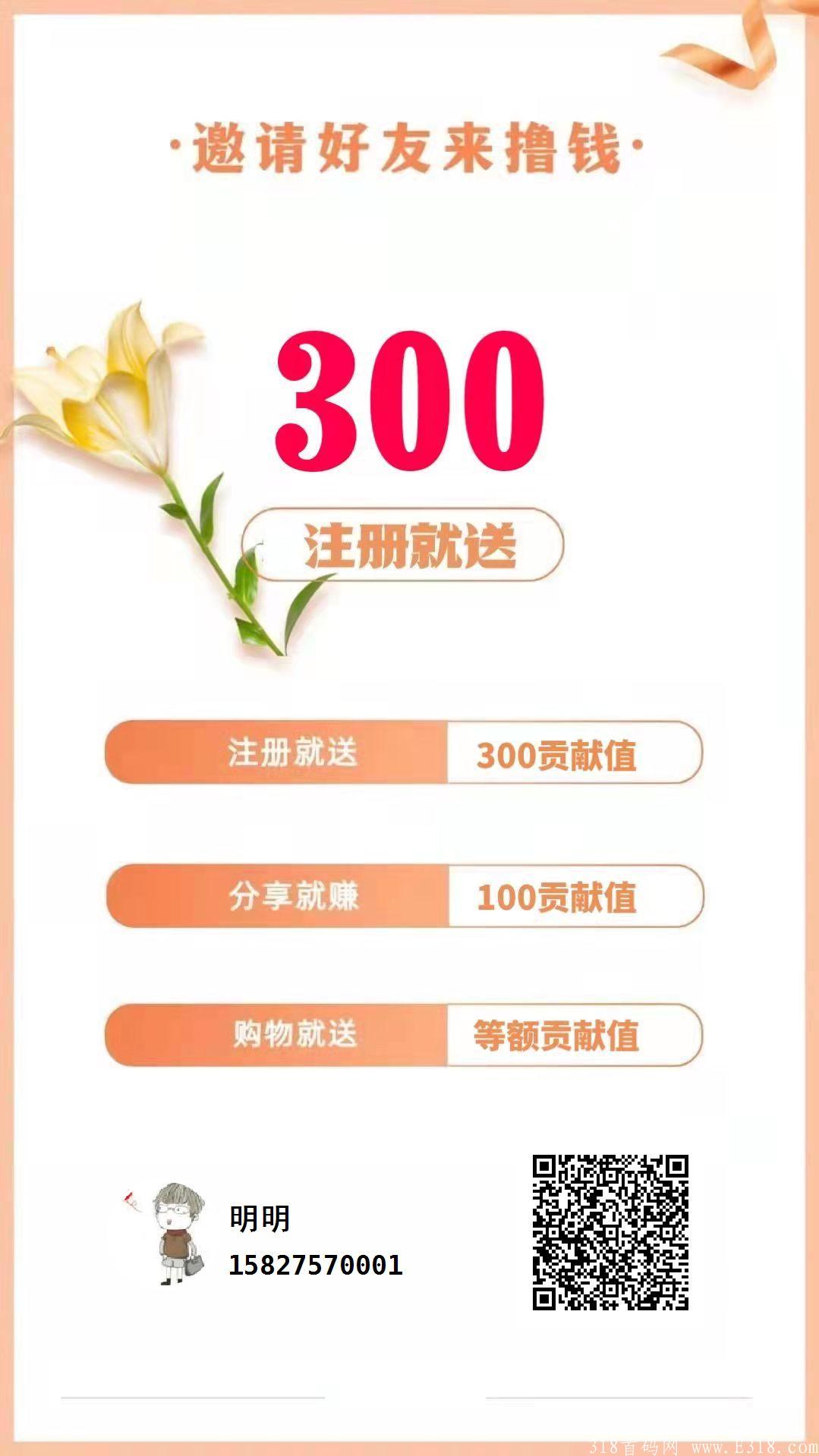 天天生态 类君凤煌模式 大型项目