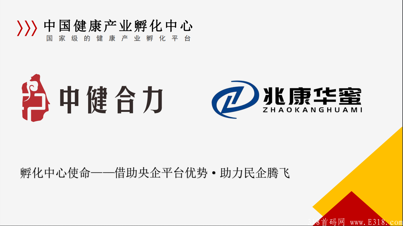 华蜜2022年最火爆的创业创富平台